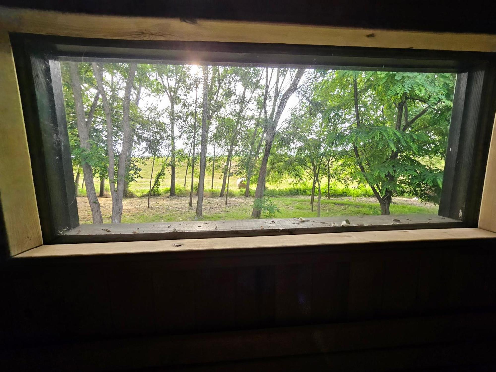 Meszes Apartman Kalocsa Pokój zdjęcie